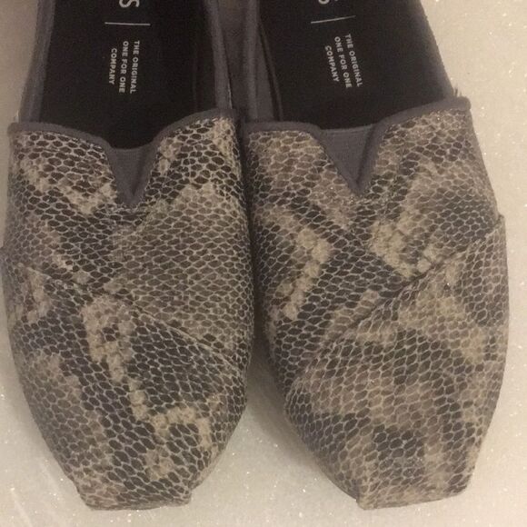 TOMS  - Picture 3 of 7